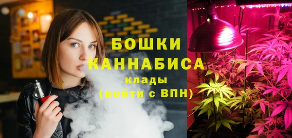 гидра Киренск