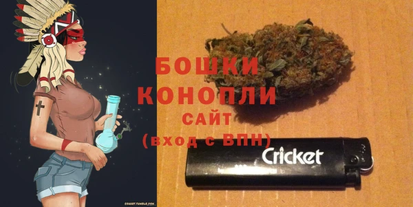 гидра Киренск